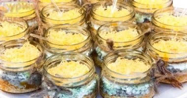 САЛАТ "МИМОЗА" В БАНОЧКАХ 14ШТ