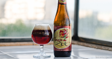 Пиво Brugse Zot Dubbel (7.5%), 0.33 л