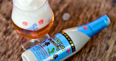 Пиво Delirium Tremens (8.5%), 0.33 л