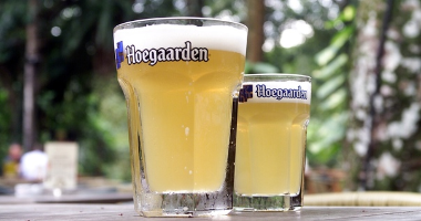 Пиво Hoegaarden Blanche (4.9%), 0.5 л